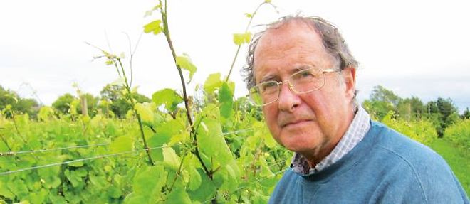 Alan Chubb - Quoins Vineyard
