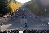 Marathon de Berlin: victoire sans le record pour Mutai