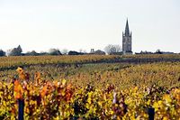 Bordeaux: mill&eacute;sime 2012 compliqu&eacute; mais de qualit&eacute;