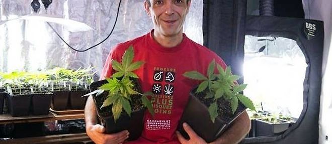 Un membre des "Cannabis social clubs" et ses plants.