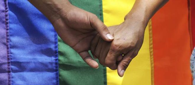 Les opposants au mariage homosexuel ont appele a la manifestation le 13 janvier.