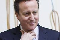 Le Premier ministre britannique David Cameron le 15 février 2013. ©David Hartley