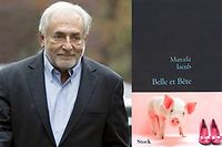 J'ai lu le livre de Marcela Iacub sur Dominique Strauss-Kahn !
