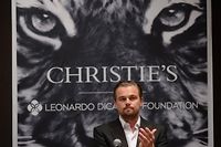 Environnement: DiCaprio l&egrave;ve 38 millions de dollars aux ench&egrave;res