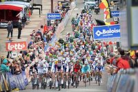 Tour de Belgique: Greipel devance Boonen au sprint