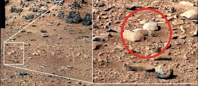 Voyez-vous ce "rat" a la surface de Mars ?