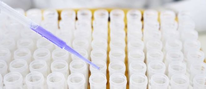 Les chercheurs cernent de mieux en mieux les genes de predisposition au cancer et ceux de resistance aux traitements.