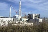 Fukushima : des substances tr&egrave;s toxiques d&eacute;couvertes dans l'eau souterraine