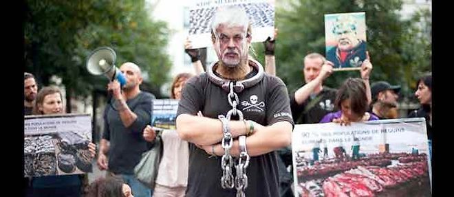 Manifestations en faveur de Paul Watson, capitaine de l'organisation Sea Shepherd.