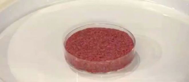Capture d'ecran. Le premier steak in vitro a ete deguste par des chercheurs lundi a Londres.