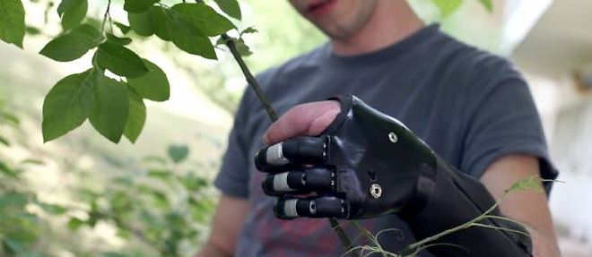 Florian Lopes tient une branche d'arbre grace a sa main bionique.
