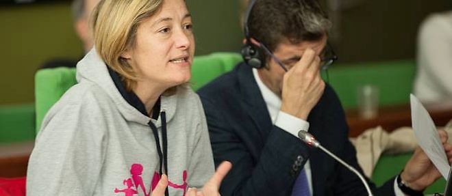Ludovine de La Rochere lors d'une audition publique sur "la manif pour tous" au Conseil de l'Europe, 26 juin 2013.