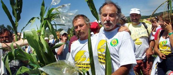 Noel Mamere et Jose Bove, lors d'un fauchage de mais OGM, en 2004.
