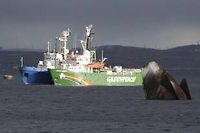 Russie : 30 militants de Greenpeace risquent 15 ans pour &quot;piraterie&quot;