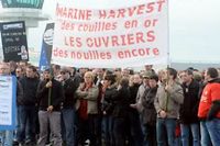 Finist&egrave;re : des salari&eacute;s de Marine Harvest bloquent un site