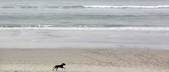 Une Petite Fille Retrouvée Morte Sur La Plage De Berck Sur