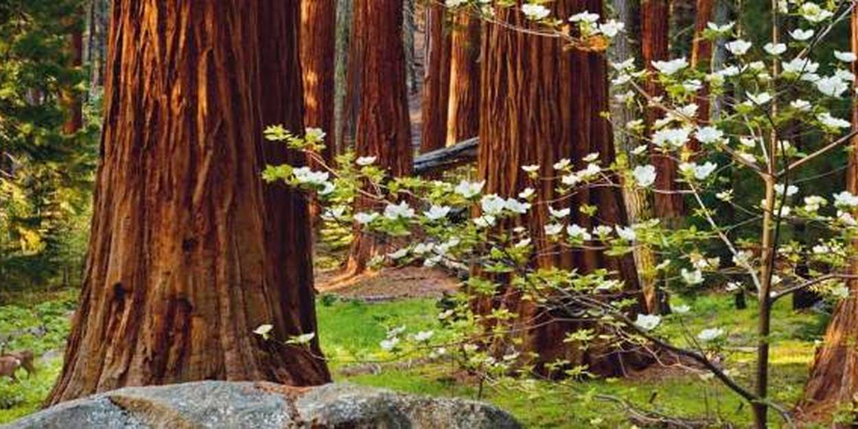 Hubert Reeves la nature ne fait pas de déchets