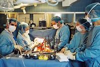 La transplantation d'organes a necessite de longues annees de recherche avant de devenir un geste presque quotidien (C)DURAND FLORENCE