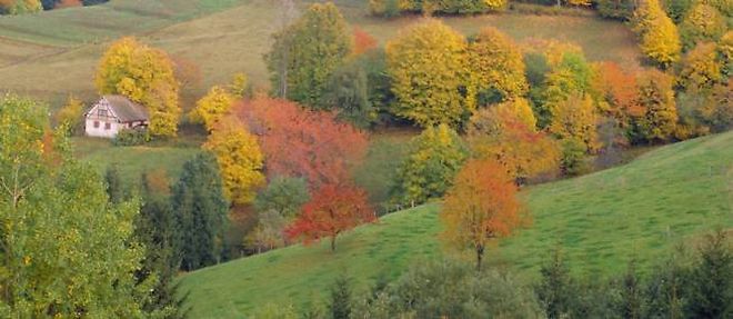 Paysage des Vosges.