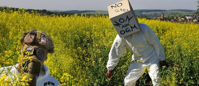 Des militants anti-OGM dans un champ de colza des Vosges, en janvier 2014.