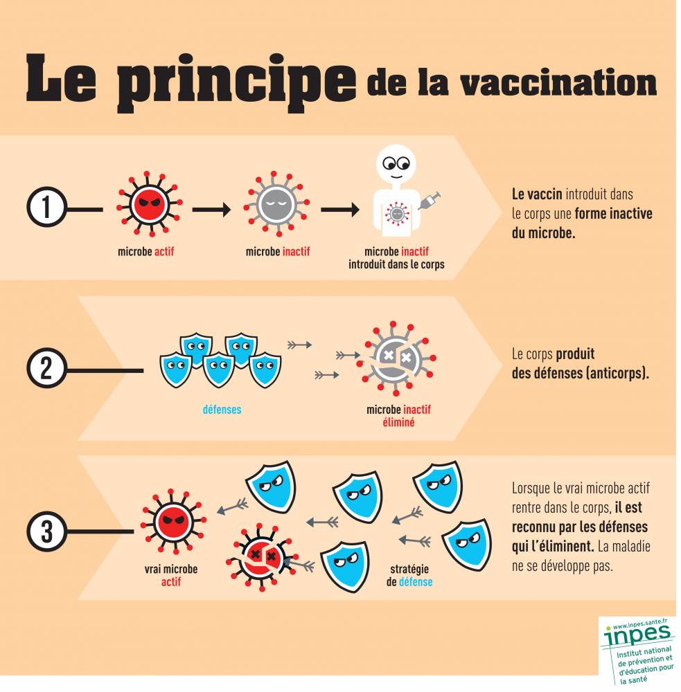 Le principe de la vaccination ©  INPES
