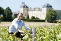 Bordeaux mill&eacute;sime 2013 : petit mais pas gratuit