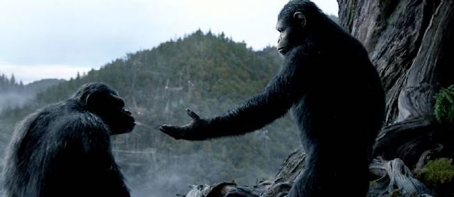 Cesar (Andy Serkis) tente de sauvegarder la paix dans la communaute simienne.
