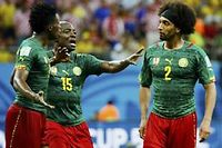 Coupe du monde 2014 - Cameroun : les &quot;Lions ing&eacute;rables&quot;
