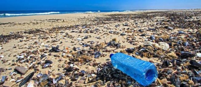 Les dechets de plastique flottant sur les oceans peseraient seulement 7 000 a 35 000 tonnes. Mais ils ne representent qu'une fraction de l'ensemble des micro-particules infiltrees dans la vie marine et les eaux du globe.