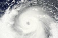 Japon : le typhon Neoguri file vers Tokyo