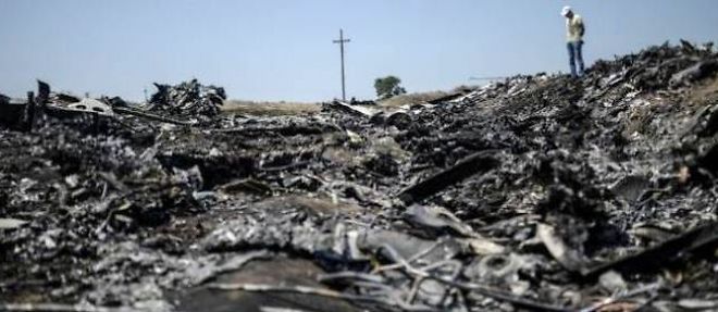Un homme contemple les restes de l'avion de Malaysia Airlines qui s'est ecrase le 25 juillet 2014 dans la region de Donetsk, en Ukraine.