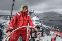 Voile - Volvo Ocean Race : ces Fran&ccedil;ais qui partent &agrave; l'aventure