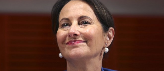 La ministre de l'Ecologie, Segolene Royal, le 15 octobre 2014 a Lyon.