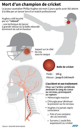 Australie: le monde du cricket en deuil apr&egrave;s la mort d'un champion touch&eacute; par un lancer