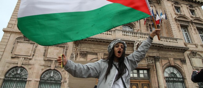 Une manifestante brandit un drapeau palestinien durant la journee internationale de soutien aux Palestiniens, le 29 novembre 2014 a Marseille.