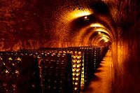 Dans les caves champenoises, la capacité des vins à vieillir et à s'améliorer est longtemps demeurée un secret. ©Olivier Ruether / LAIF - REA