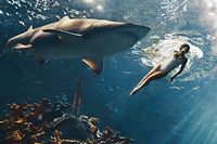 Rihanna : peur bleue avec les requins