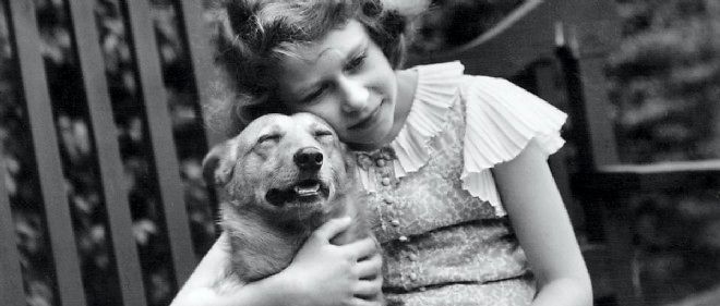 Les Corgis Chers à La Reine Menacés De Disparition Le Point