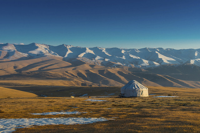steppes de mongolie