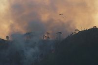 Afrique du Sud: la tr&egrave;s touristique p&eacute;ninsule du Cap ravag&eacute;e par le feu