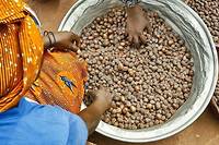 Afrique - Agriculture : pourquoi les rendements restent déséspérément bas
