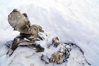 Mexique: dans la neige, le myst&egrave;re des deux momies reste entier