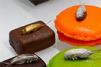 Cédric Auriol, fondateur de Micronutris, a mis sur le marché divers produit à base d'insectes, comme ces chocolats et macarons. ©Lydie Lecarpentier/RÉA