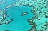 L'Australie pr&eacute;sente un plan de pr&eacute;servation sur 35 ans de la Grande barri&egrave;re de corail
