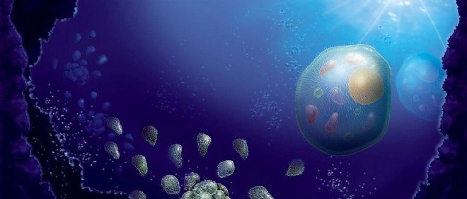 Le Cosmos Et Les Origines De La Vie Origine de la vie : la fin d'une impasse - Le Point