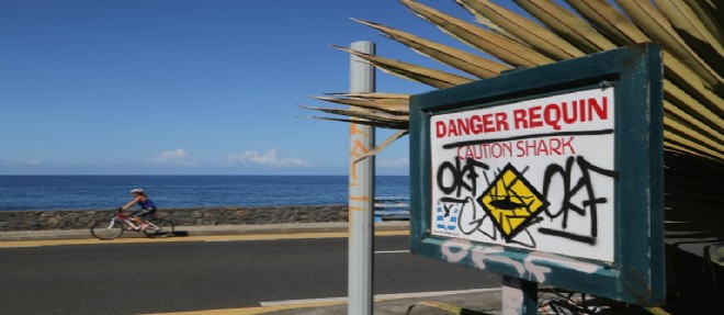La Reunion : un ado de 13 ans a ete tue dans une attaque de requin.