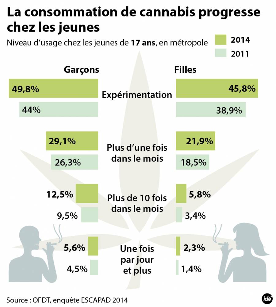Drogues. Les Français, toujours les plus gros consommateurs de cannabis en  Europe