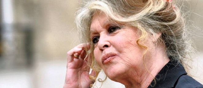 "Je trouve ca degueulasse que l'on prefere jeter des legumes plutot que de les donner aux animaux", ecrit Brigitte Bardot a Monoprix.