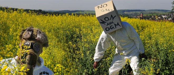 Des militants anti-OGM (photo d'illustration).