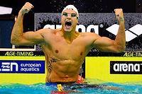 Natation - 50 m&egrave;tres nage libre : Florent Manaudou en or !